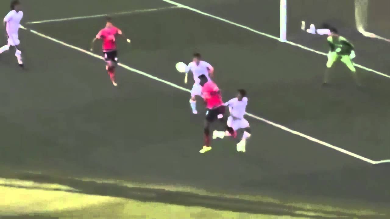 Yoichiro Kakitani Ridiculous Back Heel Goal