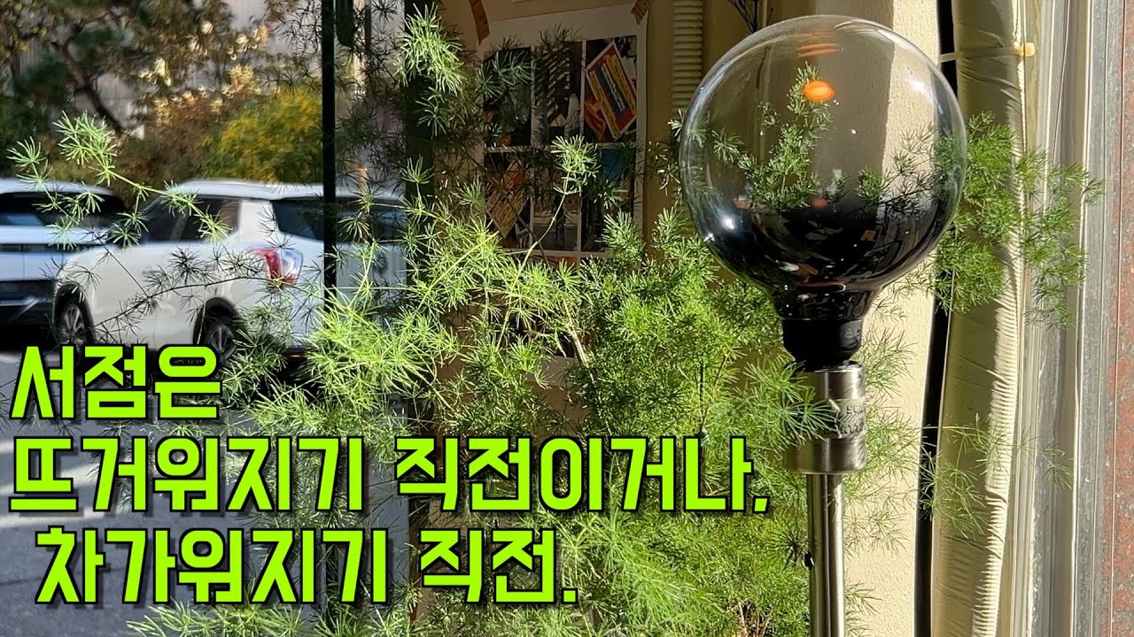 [VLOG] 그래서 미지근 하거나 평온한.
