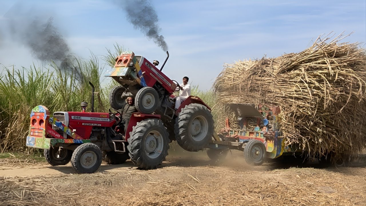 Mf 385 tractor unbelievable power | sugarcane trolley pulling 
