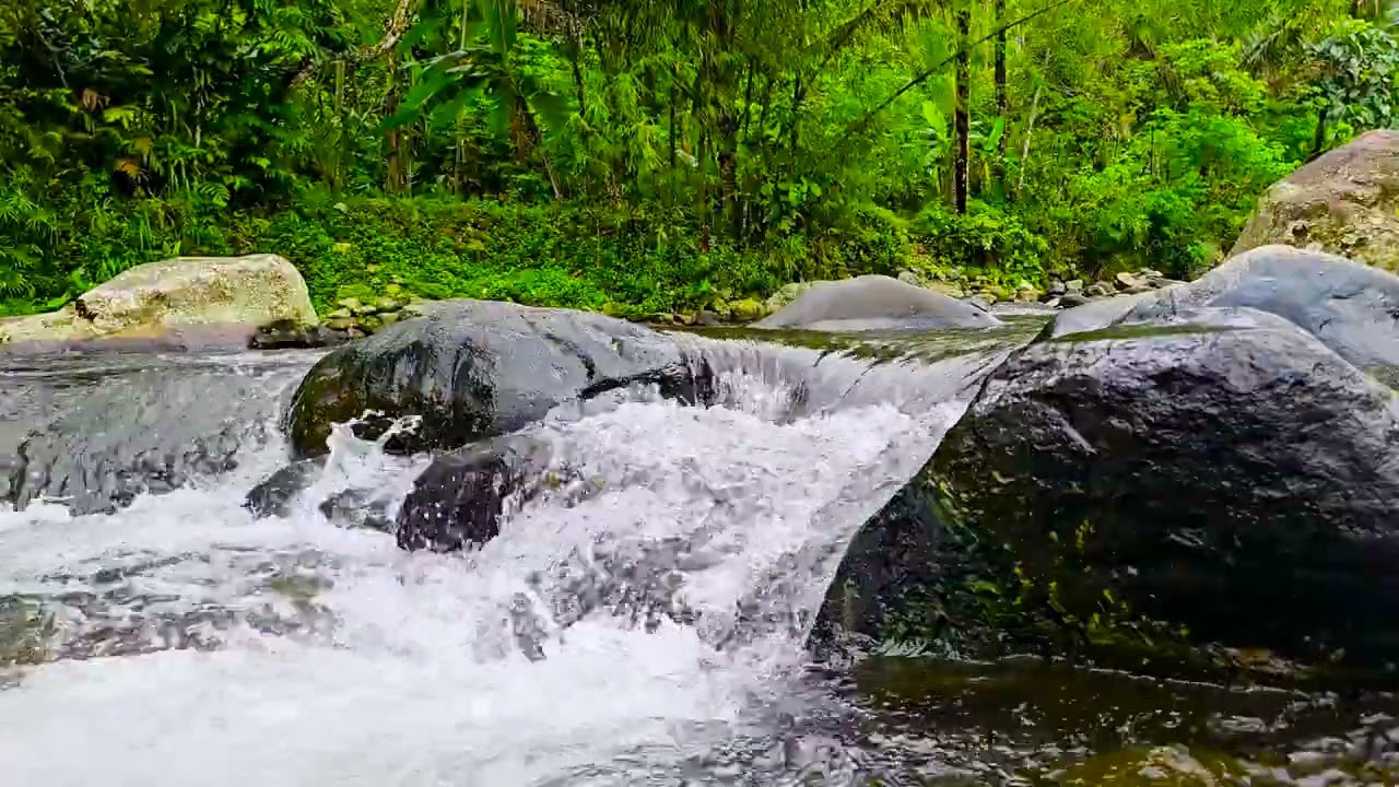 Powerful River White Noise 🌊 Deep Sleep in a Lush Jungle (4K Nature Sounds)