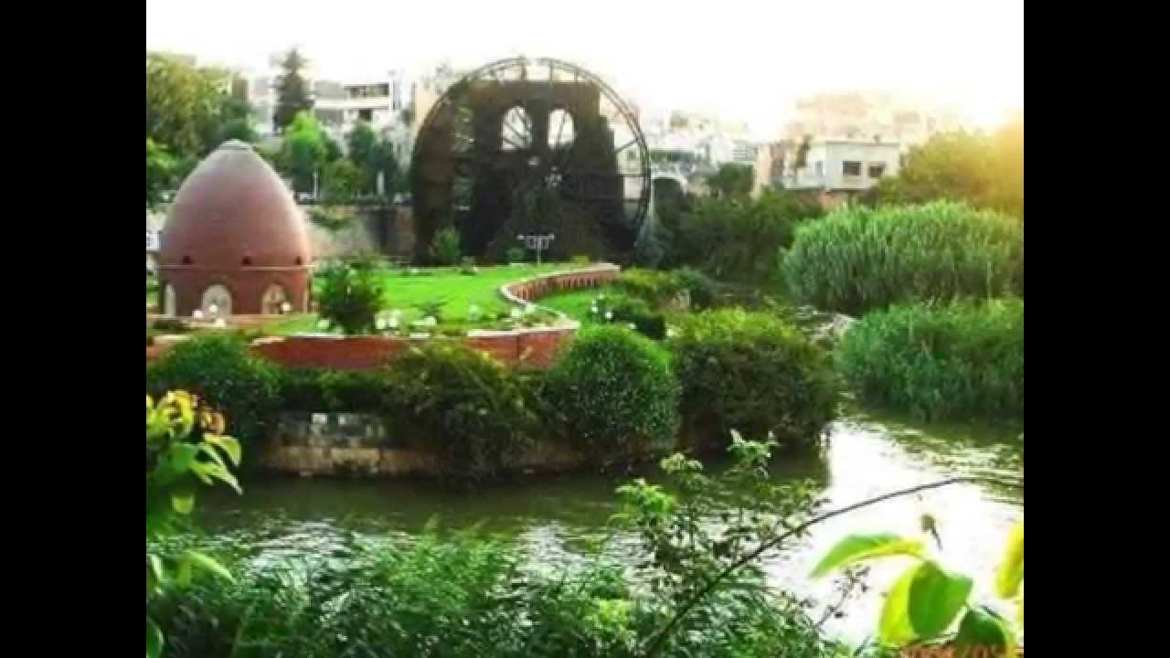صور حلفايا