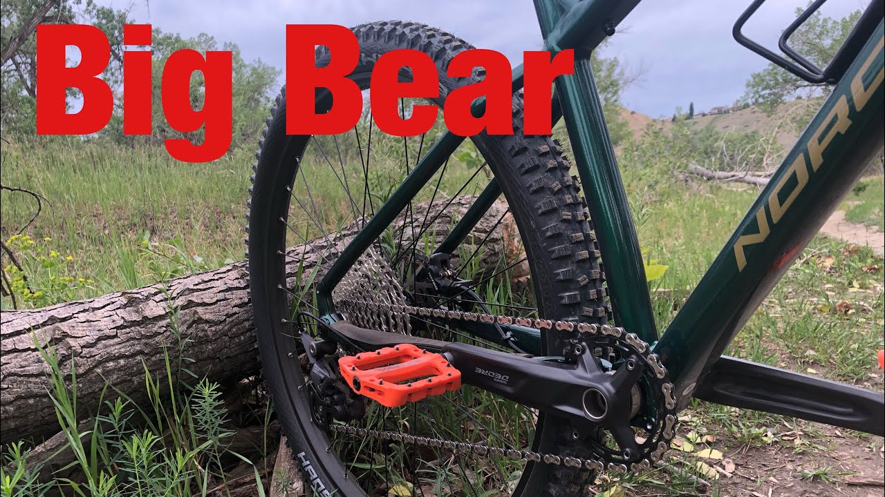 Crowsnest Pass MTB- Big Bear