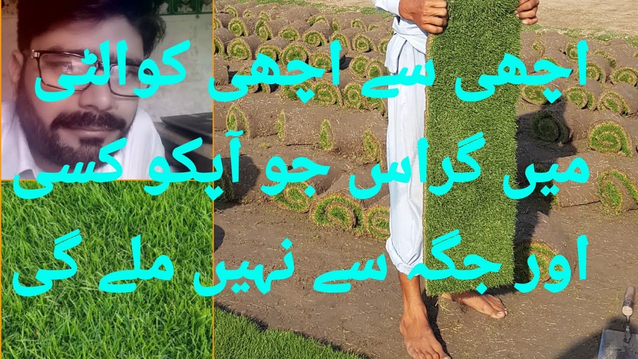 Korean Grass carpet F1 Quality available | American Grass carpet | Fine Dhaka Grass carpet F1