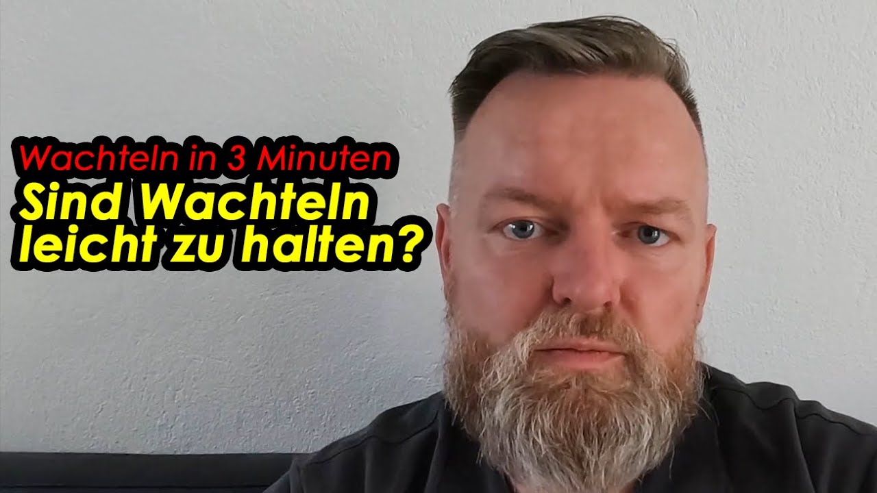 Sind Wachteln leicht zu halten? #Wachtelnin3Minuten erkl&auml;rt von der Wachtelfarm Hettstedt