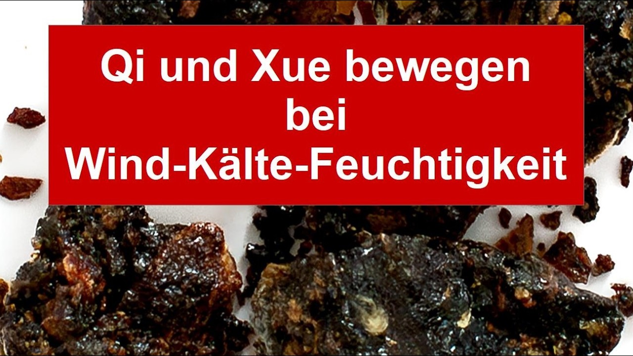 Schmerzschübe durch nasskaltes Wetter und akute Hufrehe