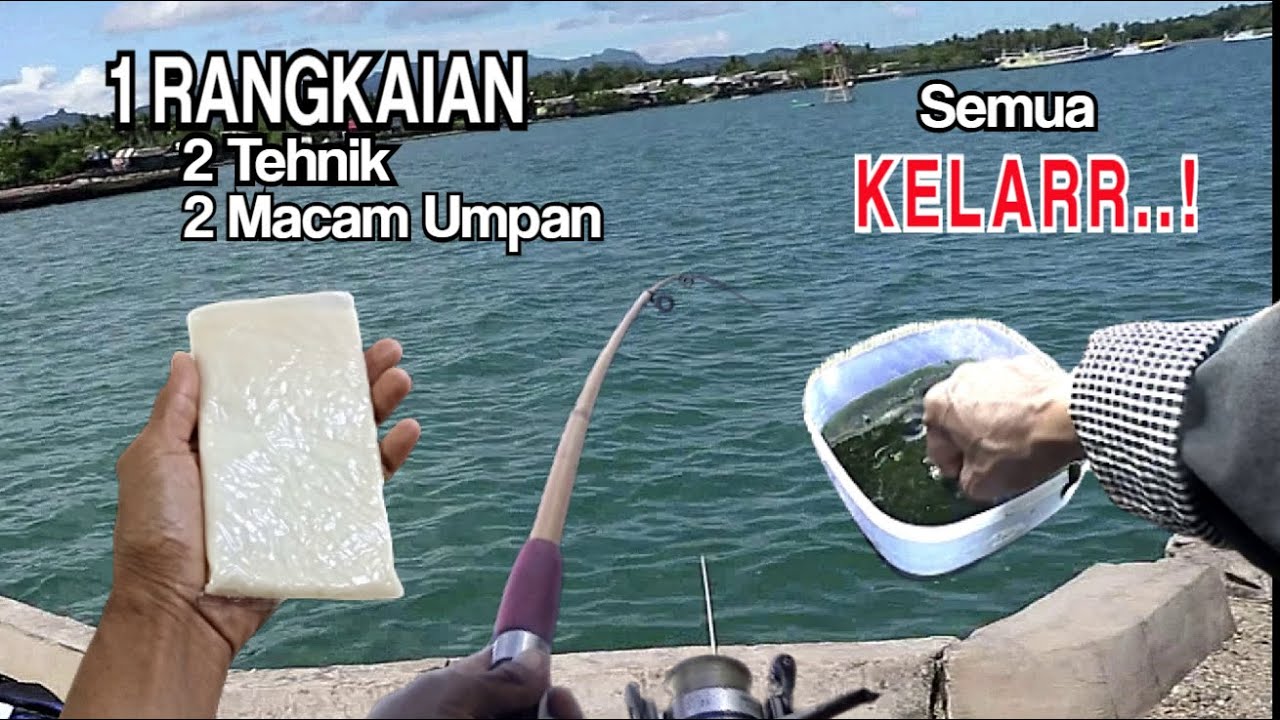 RANGKAIAN Pancing Ikan Baronang, Kiper dan Belanak, Double Hook || Rabbitfsh || The Legend of Moci.