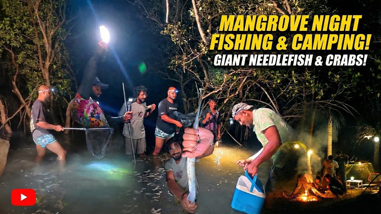 INSANE Mangrove NIGHT FISHING! Catching GIANT Needlefish & Crabs!