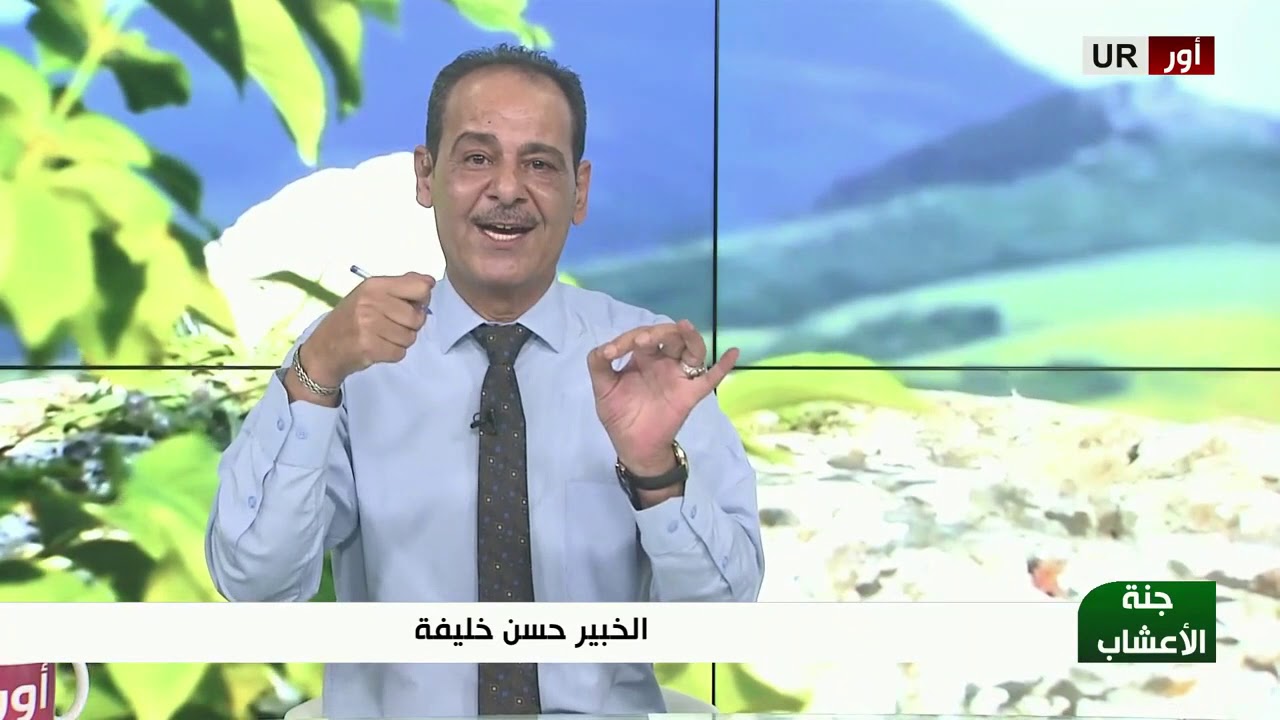 فوائد زيت جوز الهند الطبيعي للجسم والبشرة مع خبير الاعشاب حسن خليفة - جنة الاعشاب