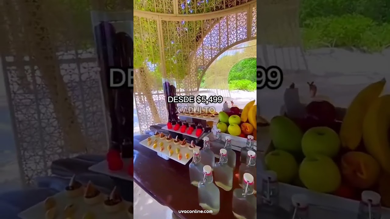 🔥SANDOS CARACOL ECO RESORT SOLO PARA ADULTOS🔥..