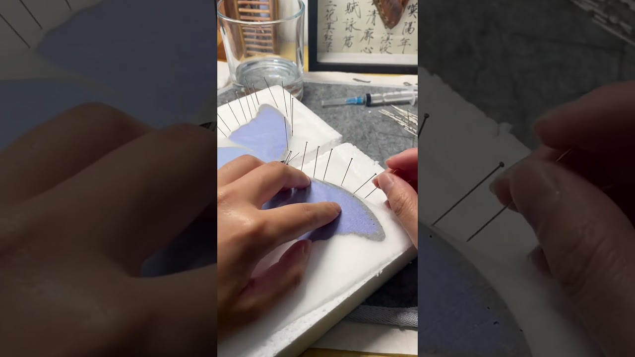 disecar una mariposa