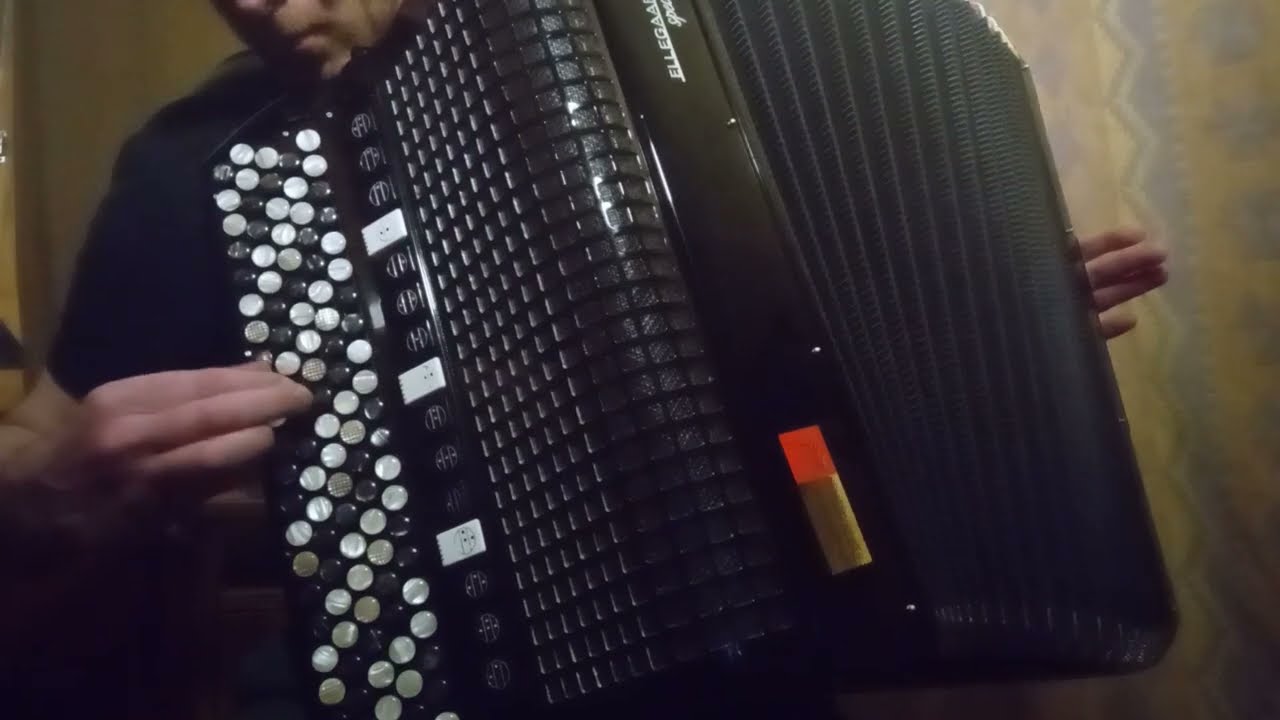 Pigini Ellegaard Special P58 Convertor accordion