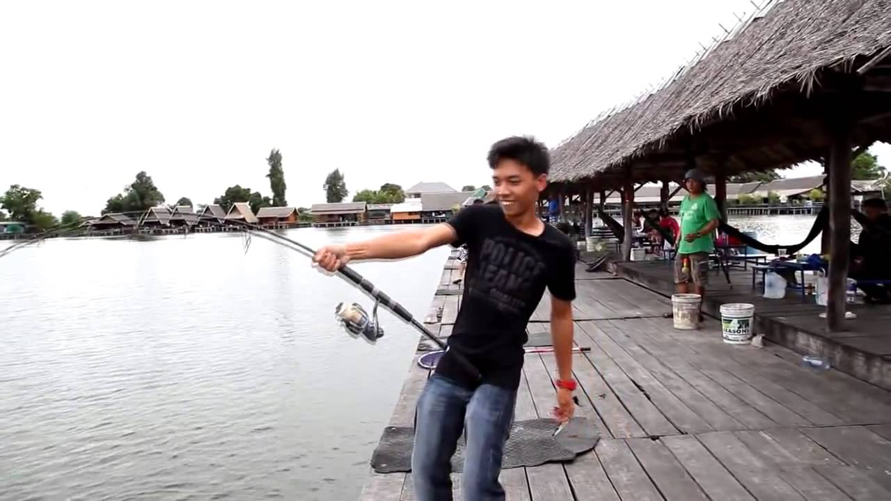 Giant Mekhong catfish at Bungsamran Fishingpark Thailand Bangkok 1