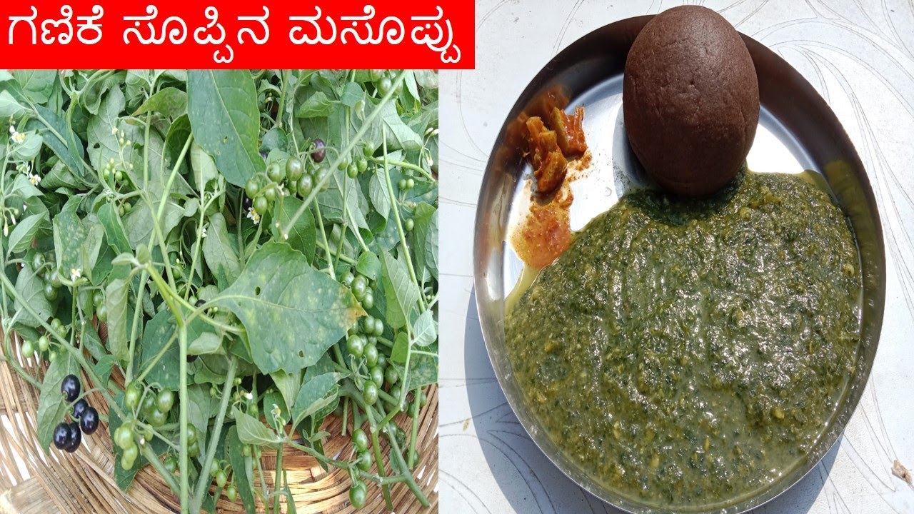 ಗಣಿಕೆ ಸೊಪ್ಪಿನ ಮಸೊಪ್ಪು /ganike soppina masoppu / ganike soppina sambar recipe