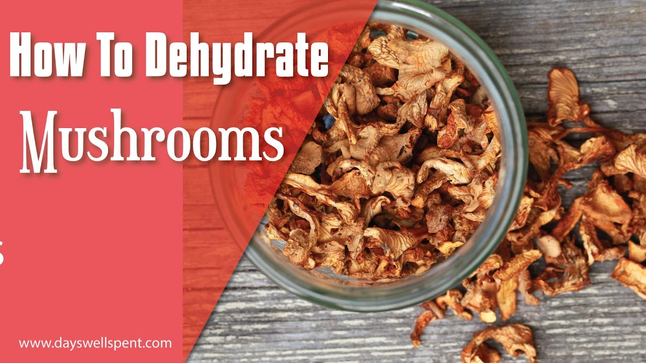 How to Dehydrate Mushrooms