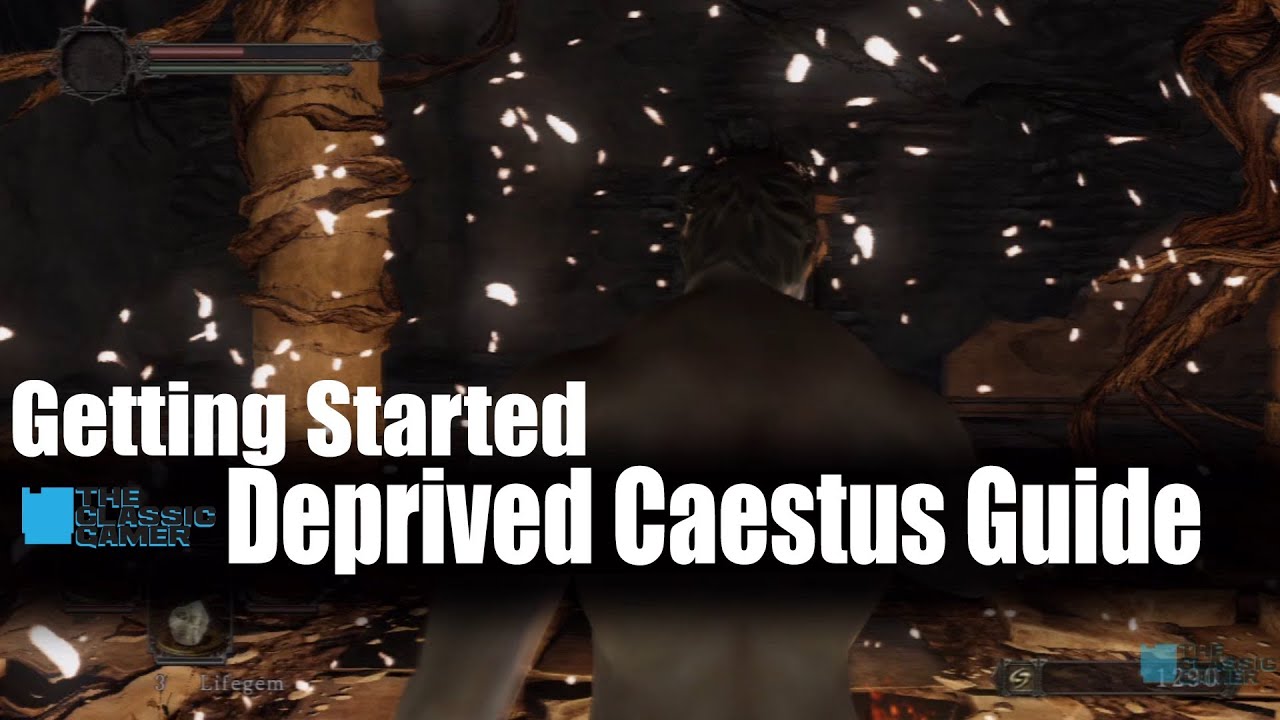 Dark Souls 2 Getting Started With The Deprived Starter Beginner Strategy Guide.