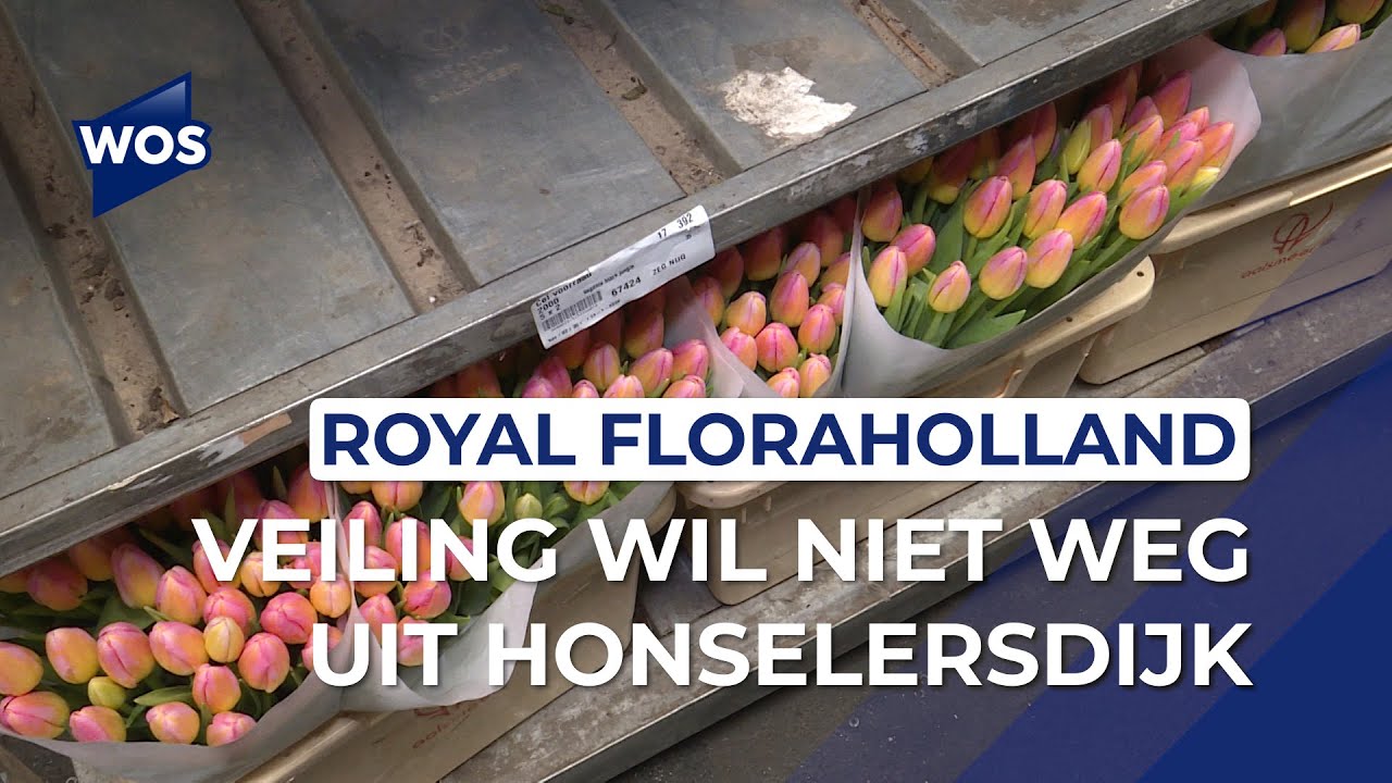 Royal FloraHolland wil niet weg uit Honselersdijk
