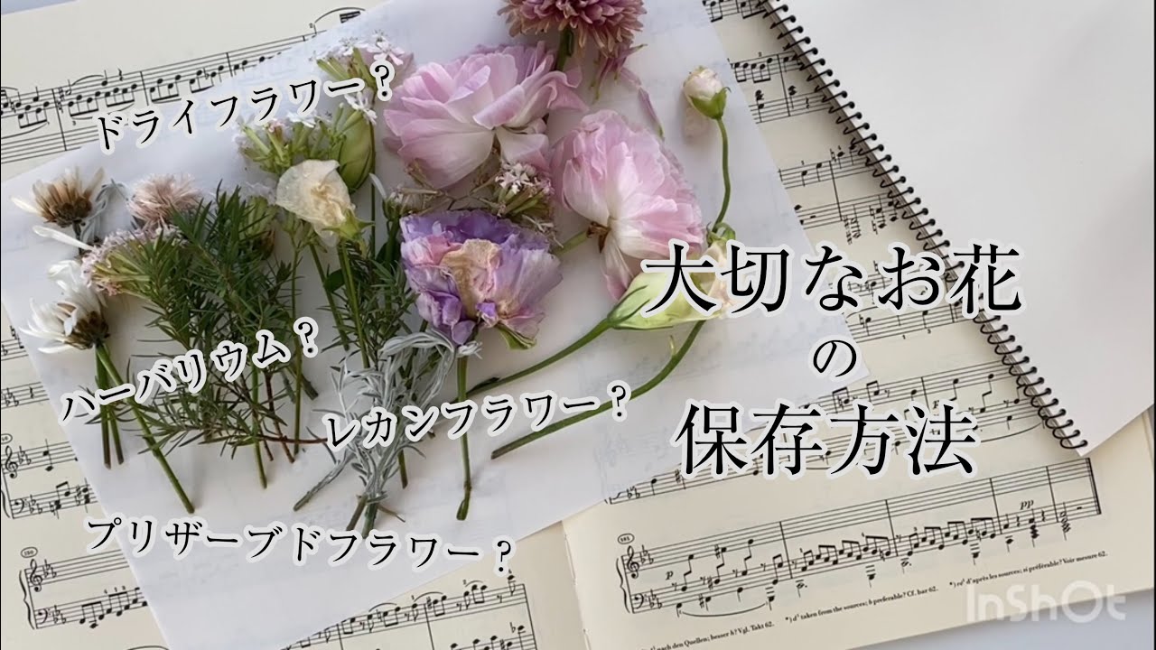 大切なお花の保存方法について