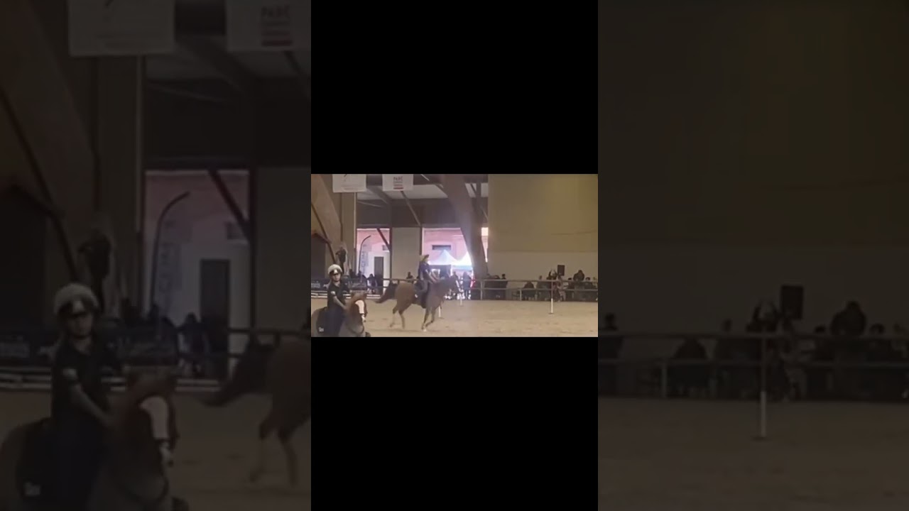 European Indoor Lamotte 2025 - Helena und Caramello