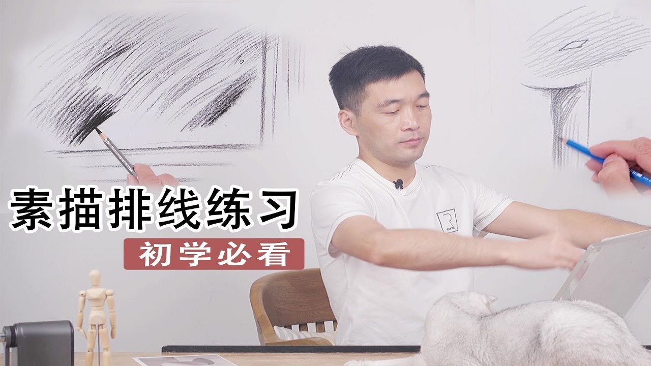 初学素描应该怎么排线？常见难点总结，奉上解决办法 | 杨将