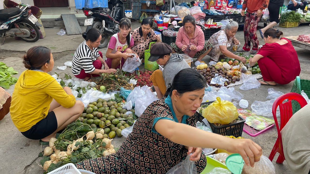 Buổi Sáng Làng Quê | Nhộn Nhịp Chợ Nhỏ Ven Biển