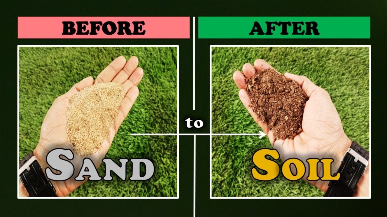 How to turn sand into soil for gardening quickly