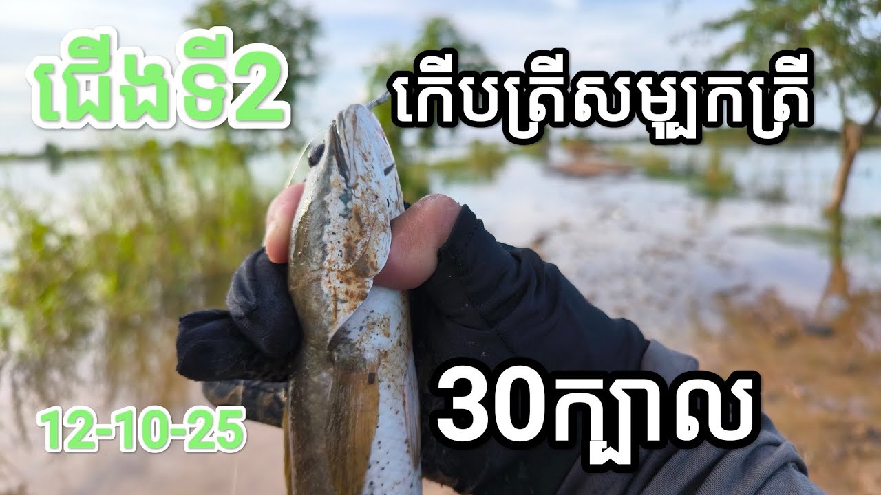 របៀបមើលប្លង់មានត្រីច្រើន #FishingInCambodia2025 #SnakeheadFish #FishingTrip2025 #បបក់ត្រីស្រែ