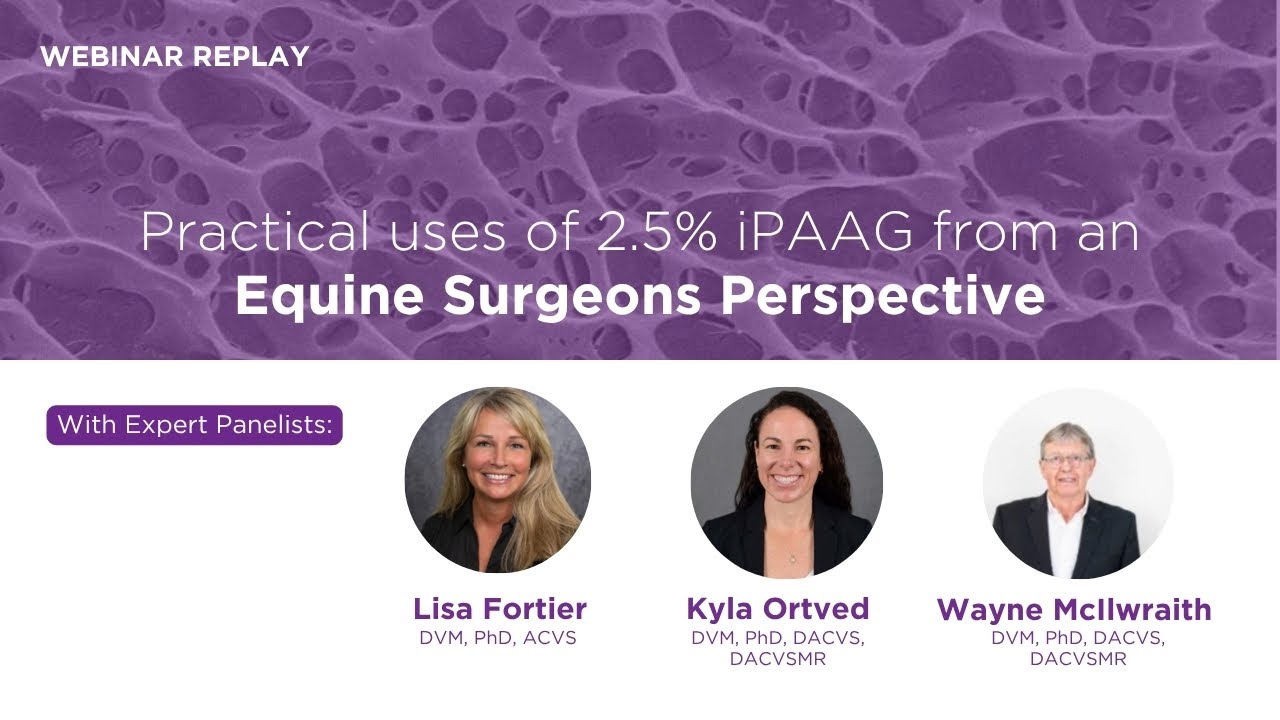 WEBINAR REPLAY: Practical uses of 2.5% iPAAG from an Equine Surgeons Perspective