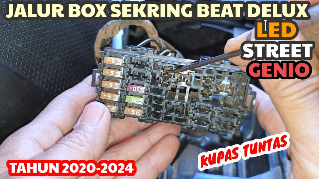 Jalur kabel box sekring beat delux @yudikakakeke5974 