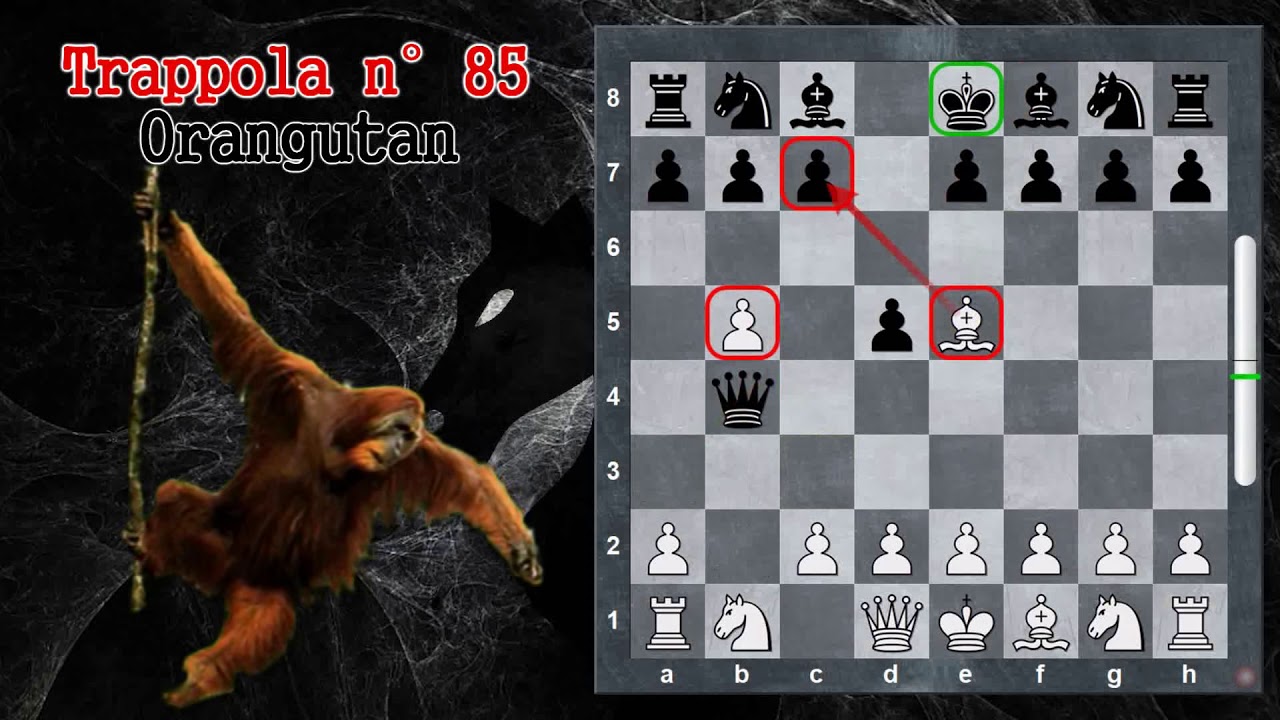 Trappole in Apertura 85 - Scacchi - Orangutan - Apertura Polacca/Sokolsky