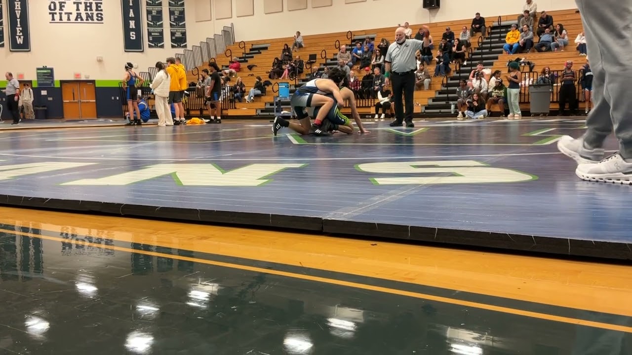 Ali v Northview 