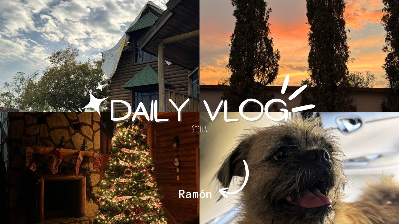 DAILY VLOG: visitando una cabaña⊹✩°｡⋆