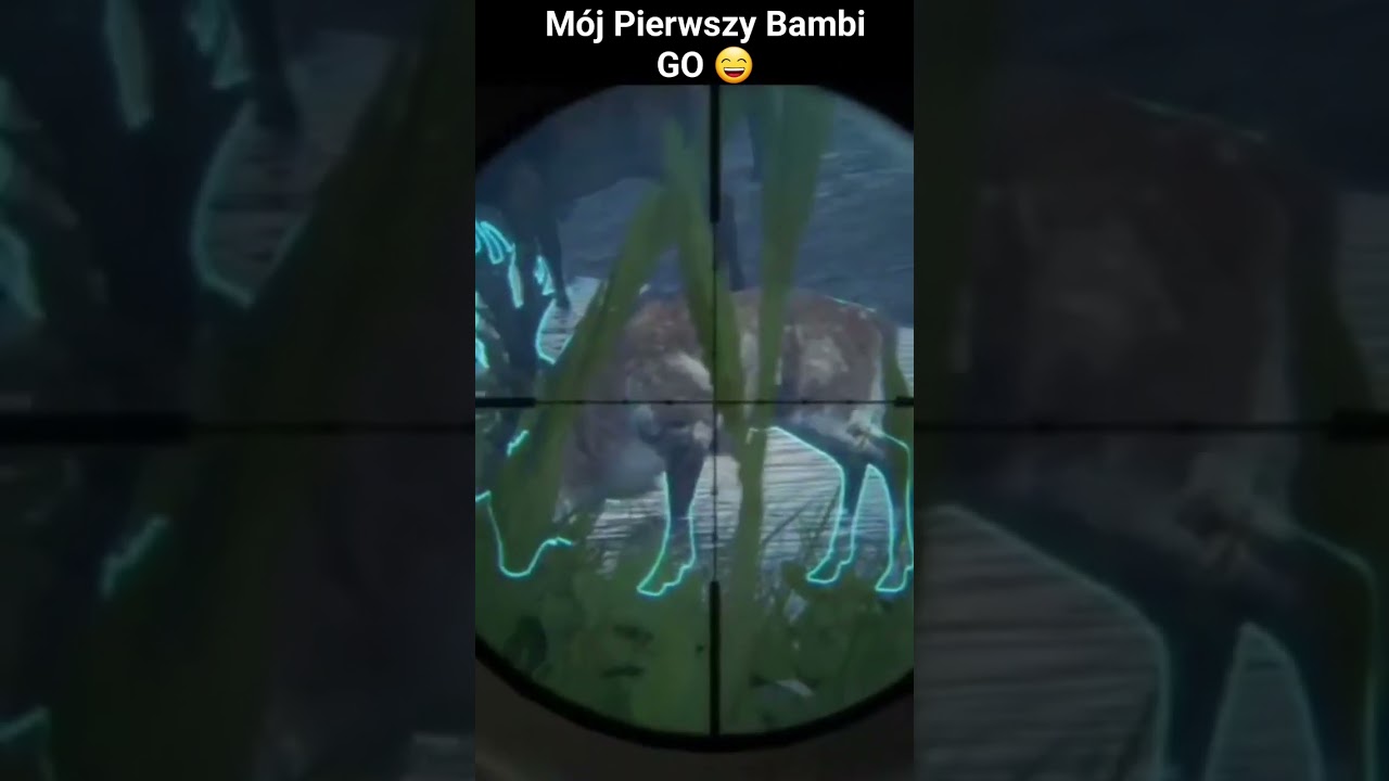 M&oacute;j Pierwszy GO Jelenia Szlachetnego z gry theHunterCOTW