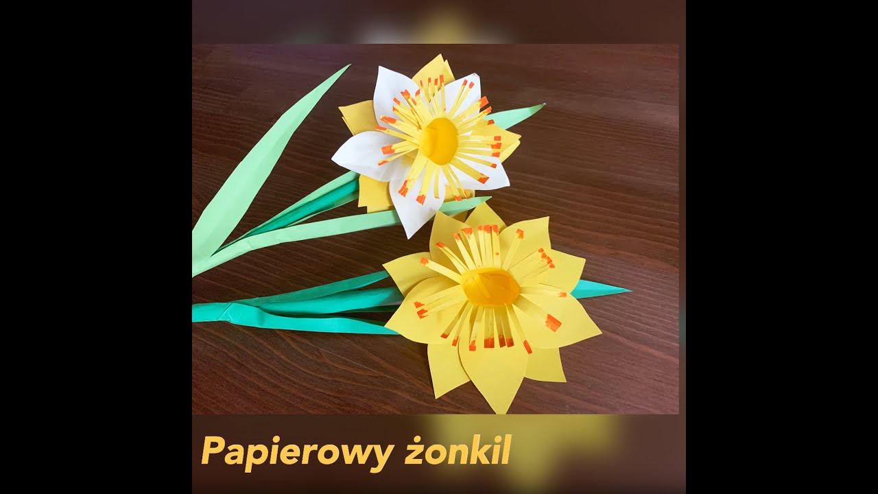 Papierowy żonkil - tutorial kreatywnej pracy plastycznej