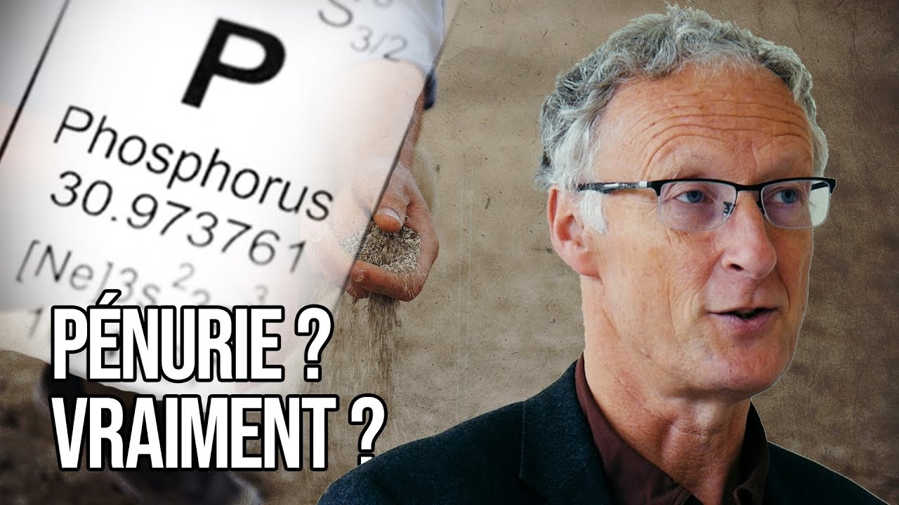 Phosphates : quels enjeux pour l'agriculture de demain ? | avec Sylvain Pellerin, INRA