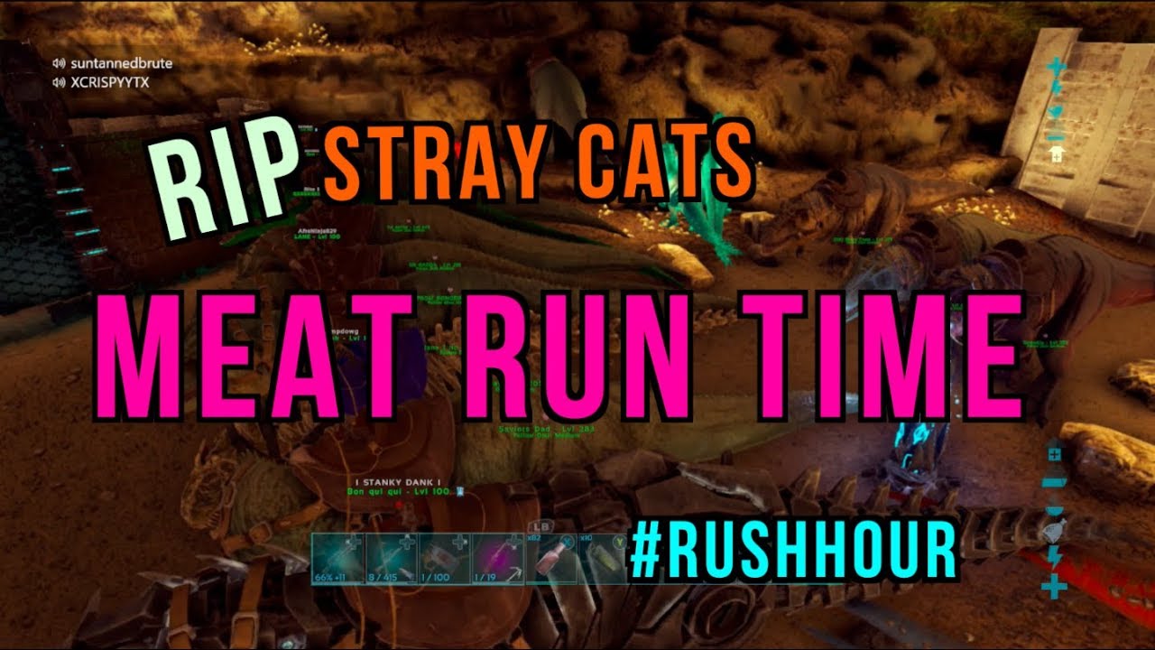 WIPING THE ALPHA TRIBE IN 1 HOUR!! - RIP STRAY CATS - OFFICIAL XBOX