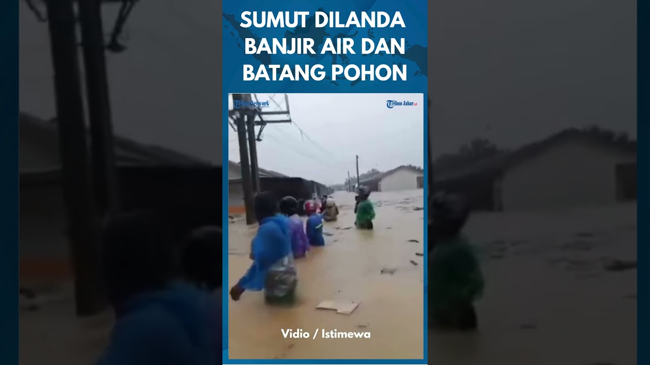 PRAY FOR SUMUT! Sungai Batang Boru Mengamuk, Kayu Hanyut Jadi Saksi Kerusakan Ekosistem
