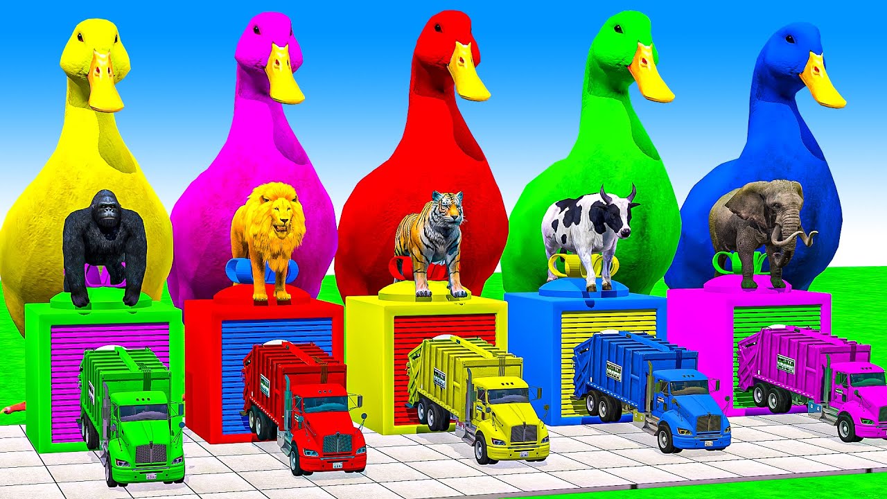 Long Slide Game With Cow Elephant Gorilla Hippopotamus Tiger - 3d Animal Game - Funny 3d Animals