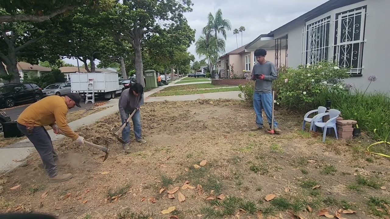 Day 71 Taking Out Grass (Part 1)