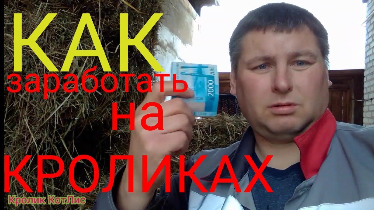 КАК ЗАРАБОТАТЬ ДЕНЕГ на КРОЛИКАХ. Краткий курс.( часть 1).