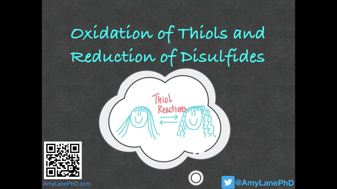 334 BCH3023 Oxidation of Thiols and Reduction of Disulfides