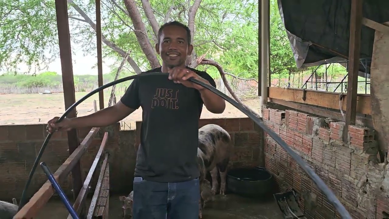 Obamajunior banhando os porcos