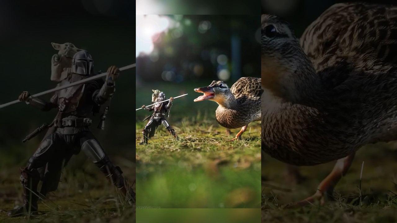 This took HOURS to get this shot 🦆 #toyphotography #starwars