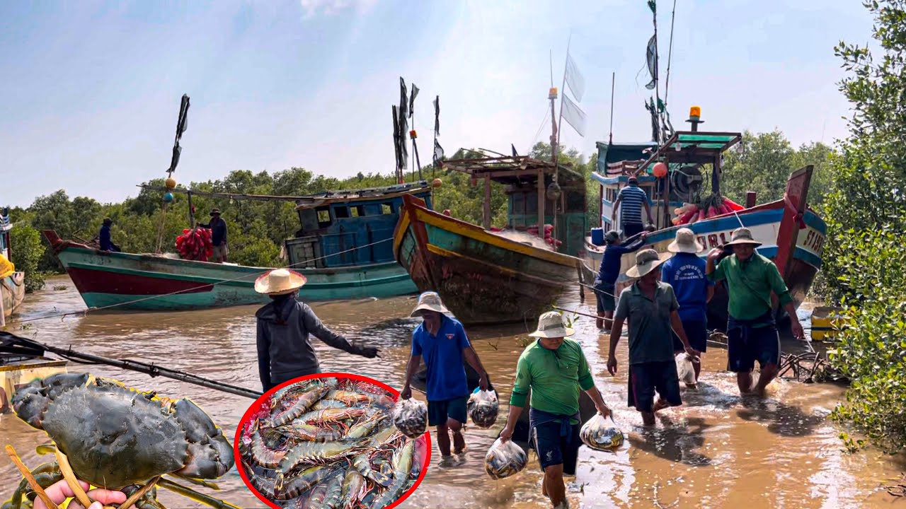Khó Khăn Mưu Sinh Cửa Biển Nhỏ Vĩnh Châu | Chợ Vĩnh Châu Sóc Trăng Đến Đâu Cũng Vui