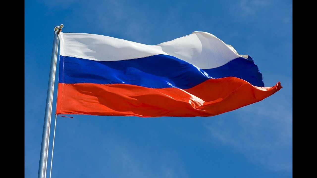 ИЗО студия 