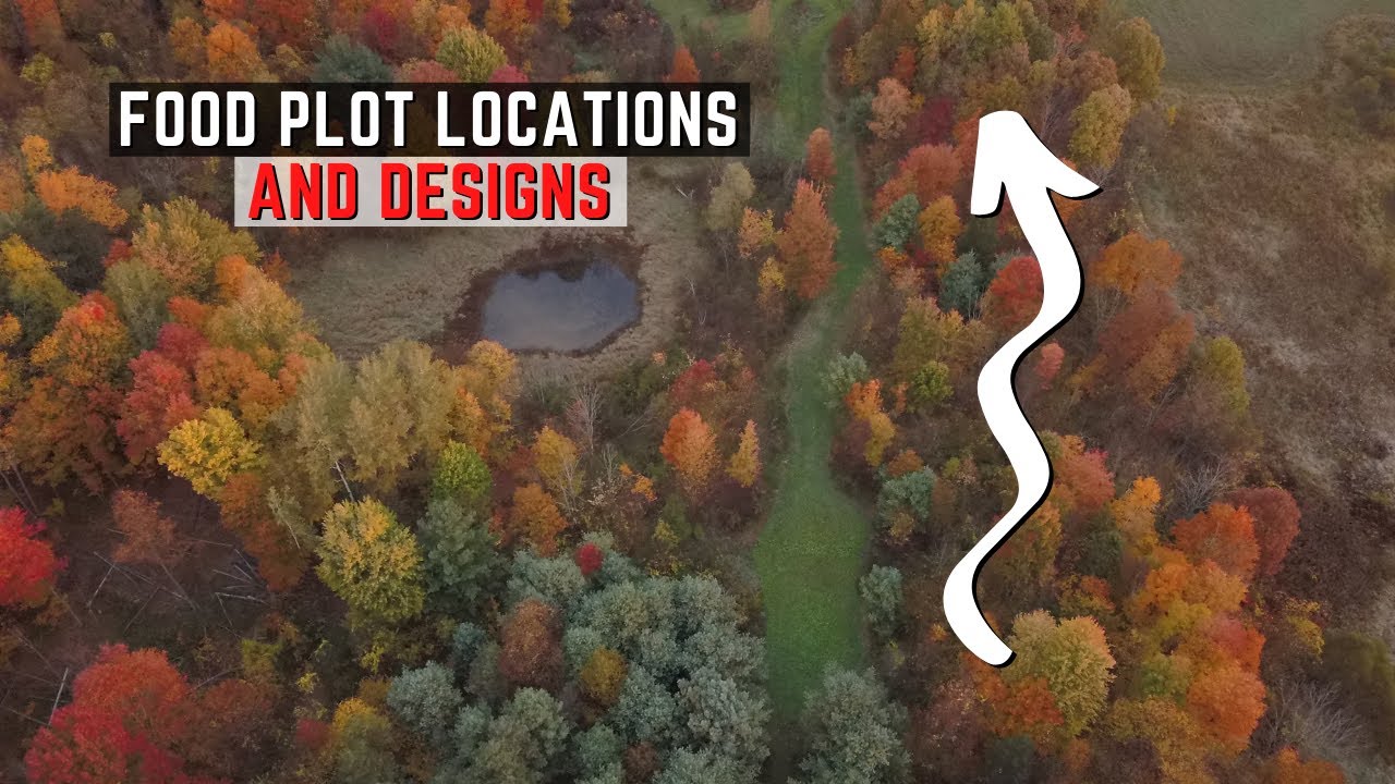Food Plot Location and Design Tips
