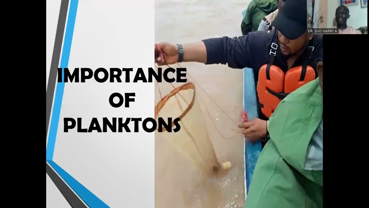 The techniques for the collection, preservation, and identification of phytoplankton.
