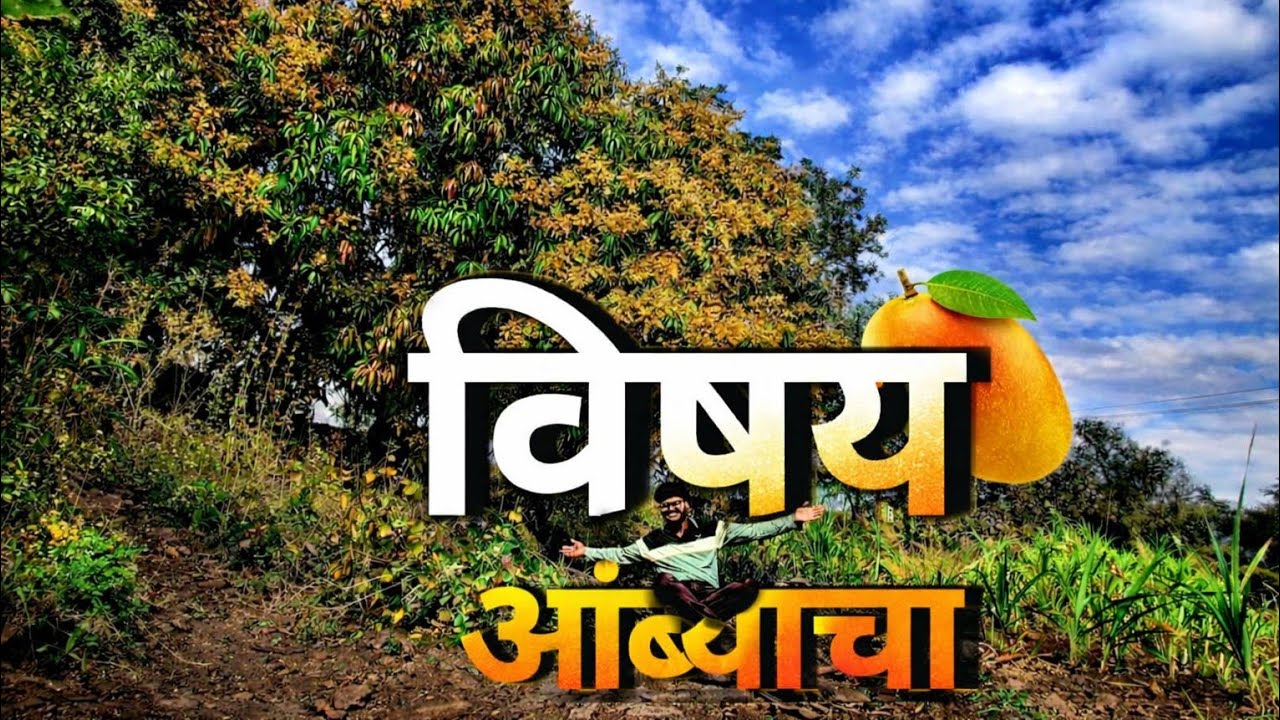 🥭📍विषय रानातल्या आंब्याचा 🔥😍|The Season Of Mangoes Start Here| #maharashtrianvlogs #mangoes
