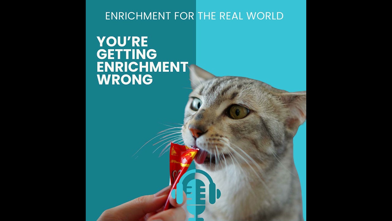 #148 - You’re Getting Enrichment Wrong