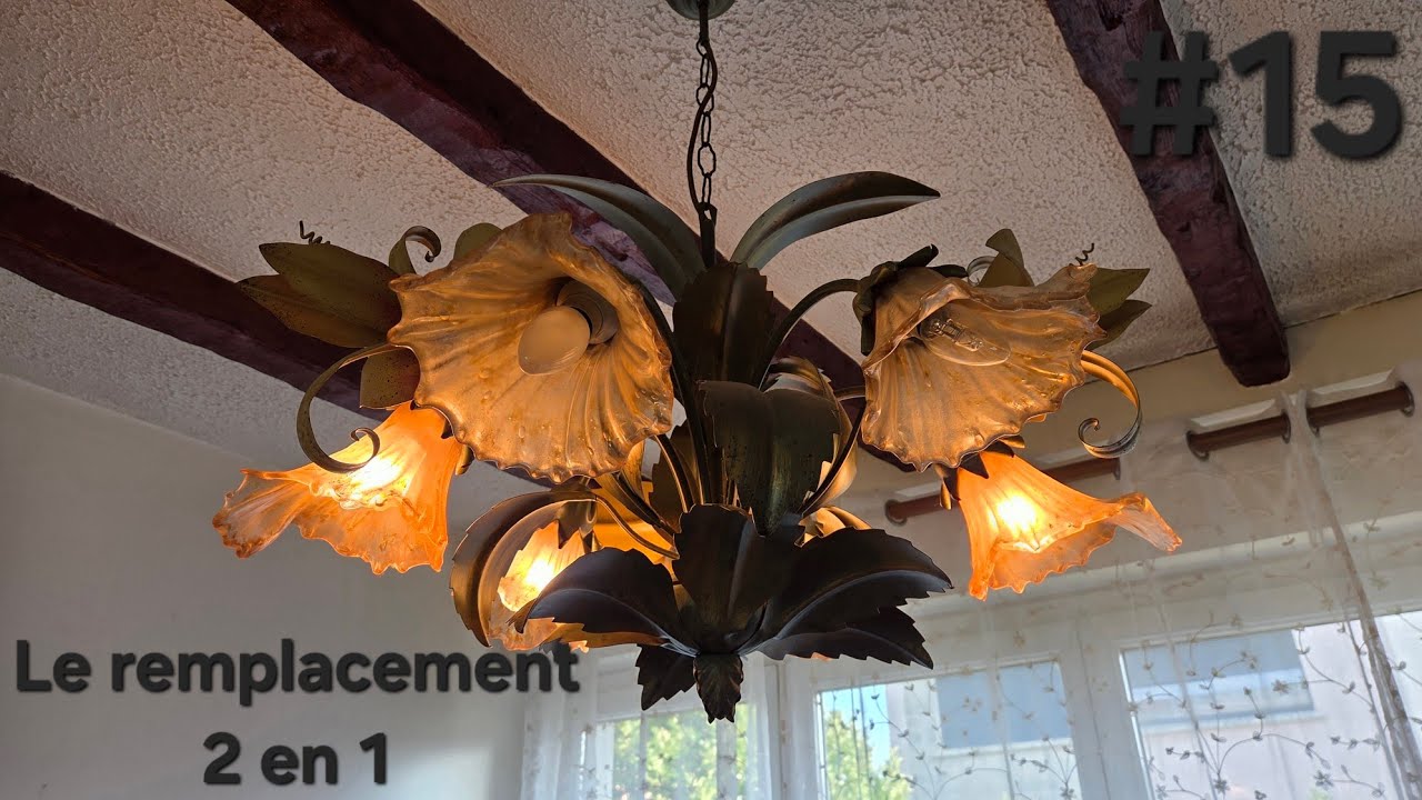 Lampes halogène PHILIPS & incandescence CASTO: le remplacement #15