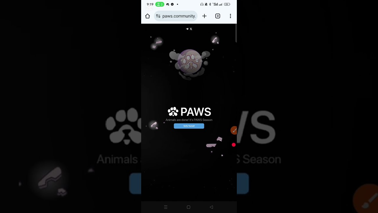Paws Final Mandatory Eligibility Criteria Check.
